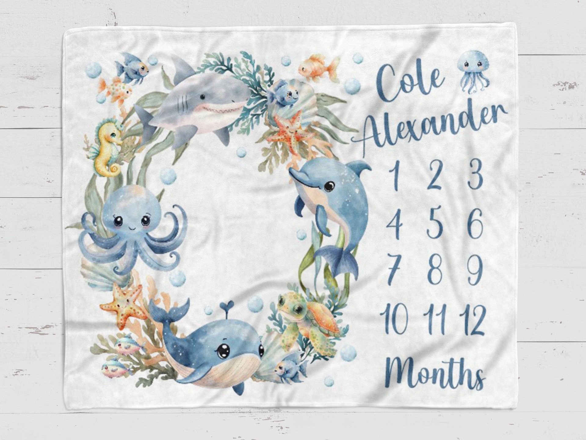 Personalized Sea Life Baby Milestone Blanket