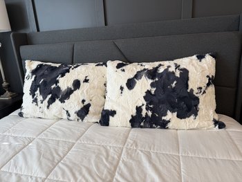 Minky Pillowcases & Throw Pillows