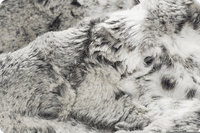 Snowy Owl Luxe Minky Blanket