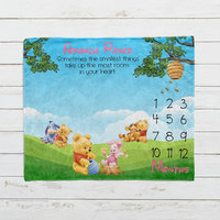 Baby Winnie the Pooh and Friends Honeybee Milestone Blanket