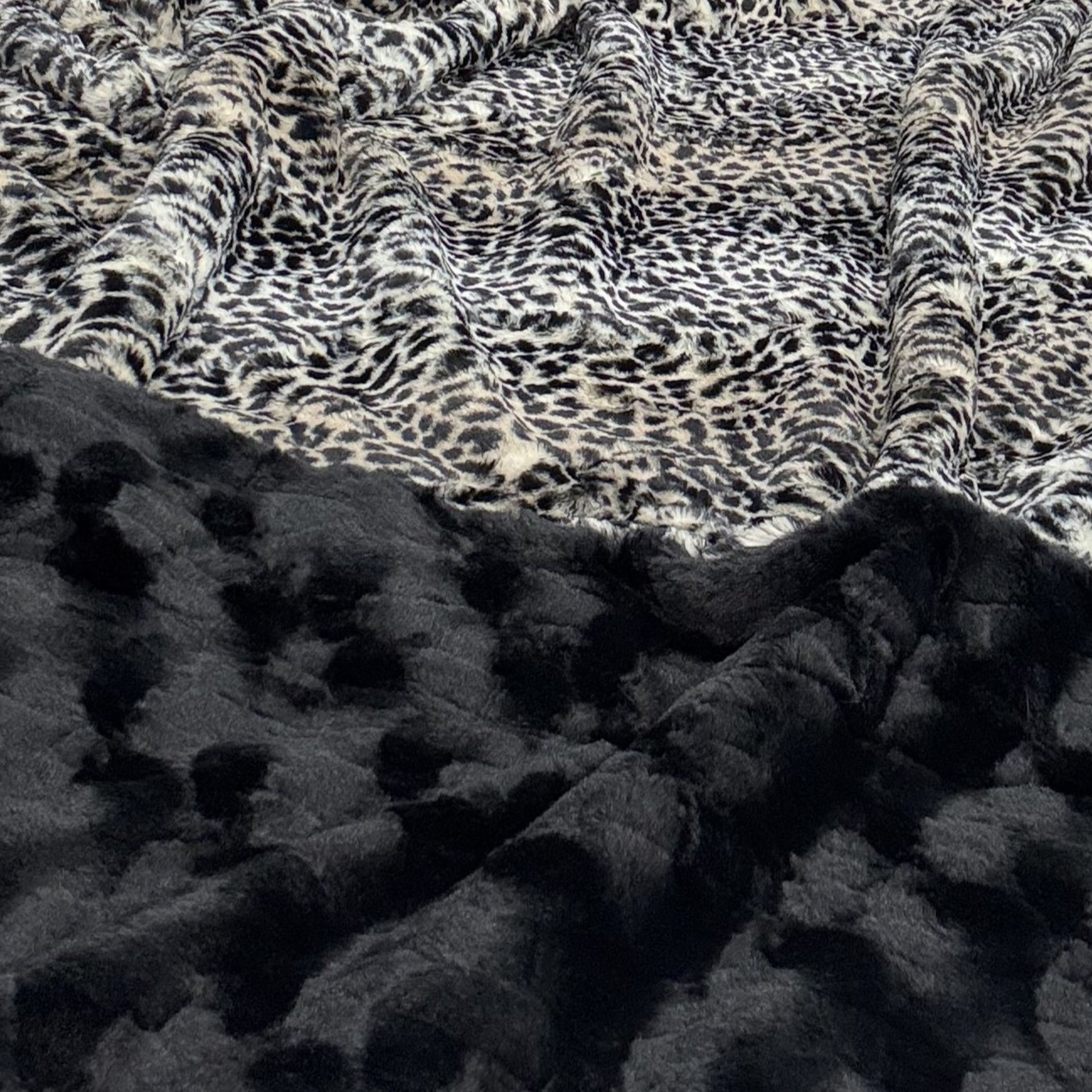 Luxe Cuddle Cheetah with Luca Black 50"x60" Adult Minky Blanket