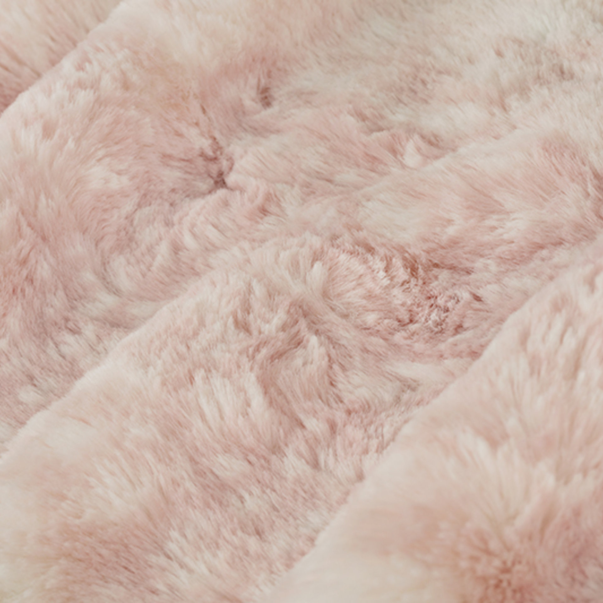 fawn rosewater