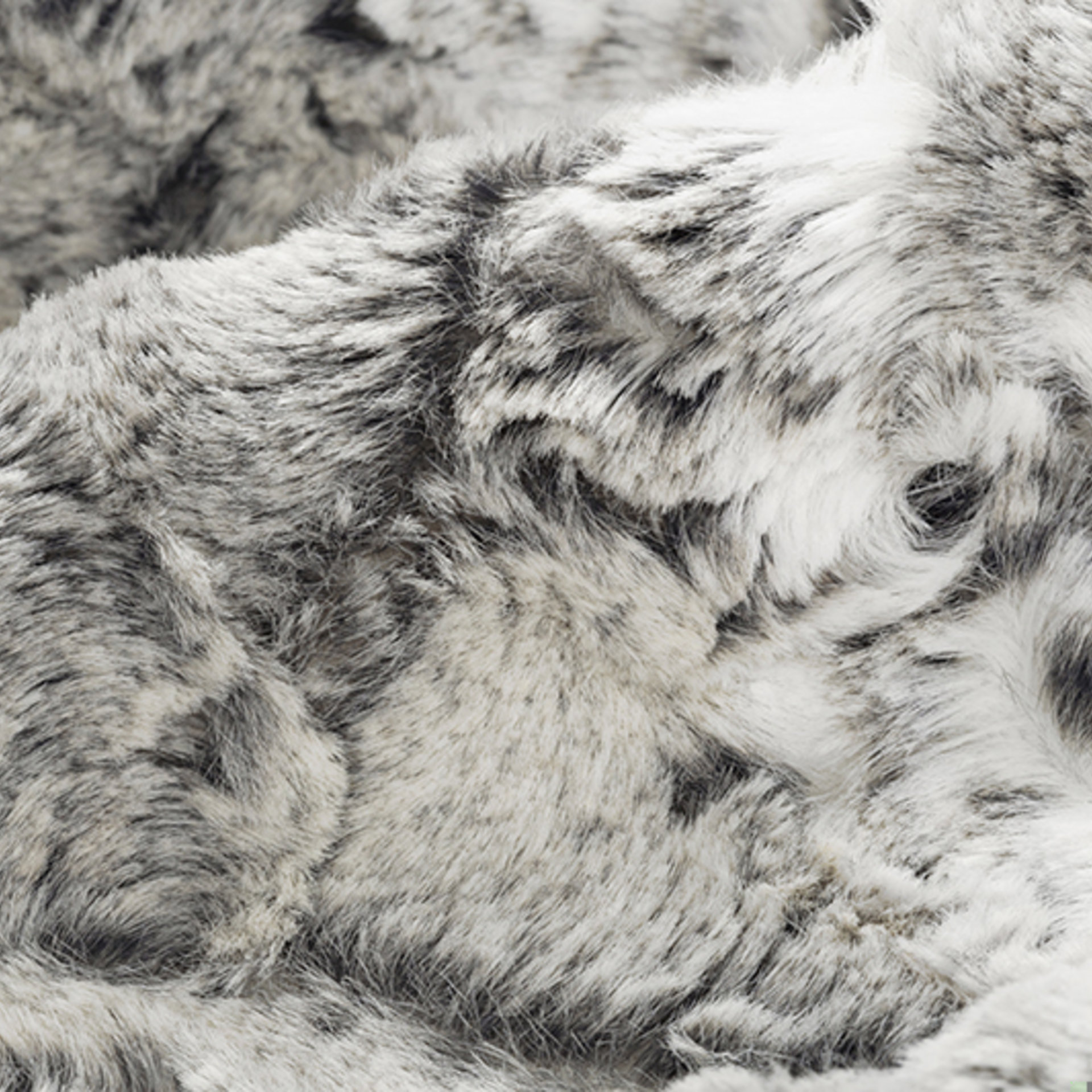 Snowy Owl Luxe Minky Blanket