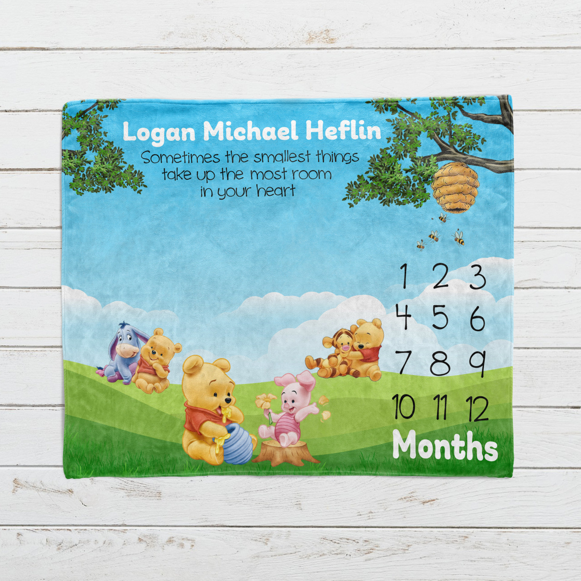 Baby Winnie the Pooh and Friends Milestone Blanket