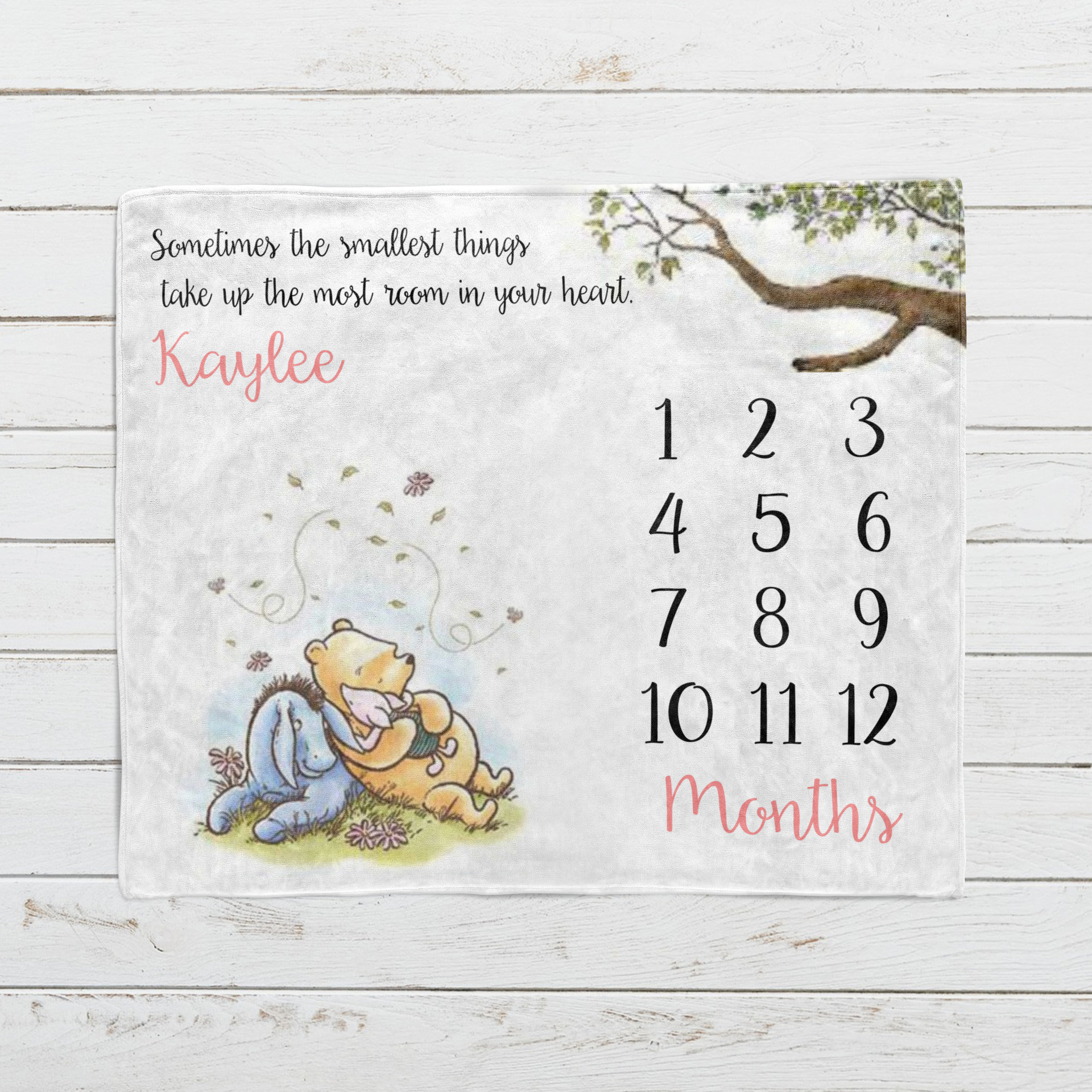 Personalized Vintage Winnie the Pooh and Eeyore Milestone Blanket